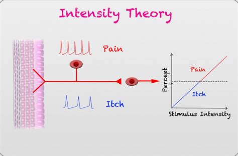 Intensity Theory | Ross Lab