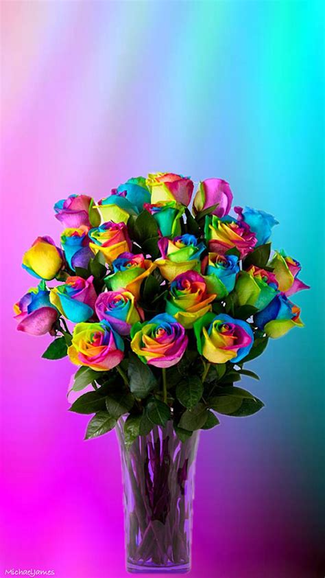 Rainbow Flower IPhone Wallpapers Top Free Rainbow Flower IPhone Backgrounds WallpaperAccess
