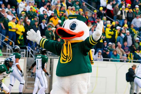 Oregon Ducks Mascot Puddles At Autzen Stadium Photograph By Joshua Rainey