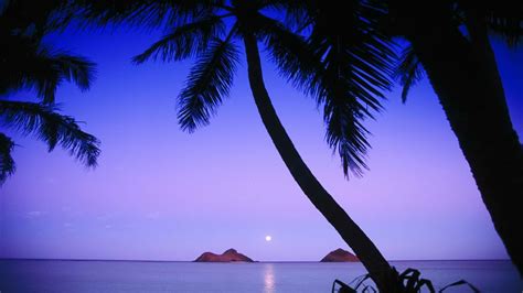 Hawaii Islands Oahu Beaches Wallpapers Hd Desktop And Mobile
