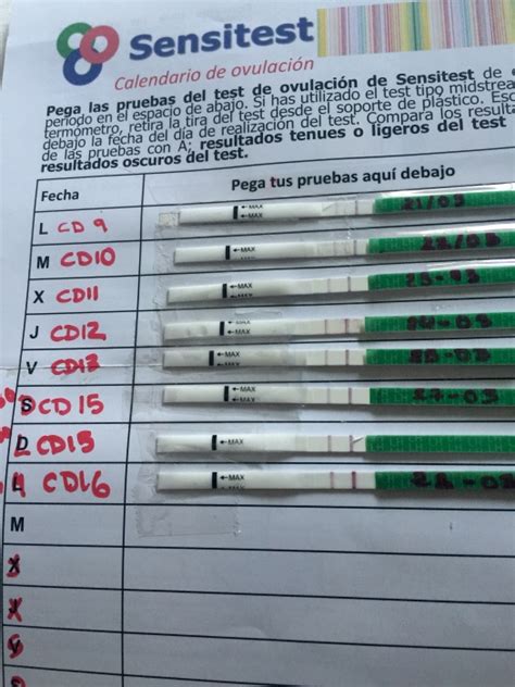 Simple Science: How to Make a Volcano with Kids