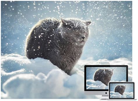 See the best free download 3d wallpaper for laptop collection. 50+ Beautiful Winter Wallpapers For Your Desktop, Vol 2 - Hongkiat