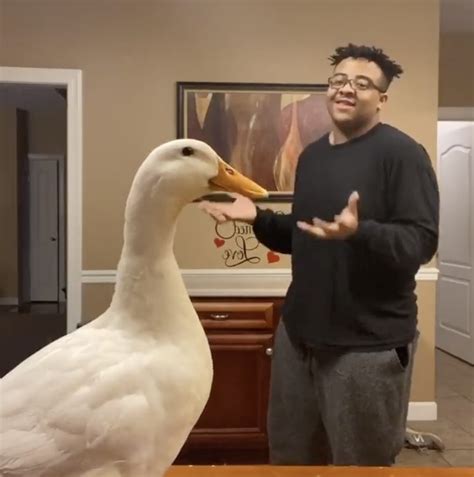 This Teen Twerking With His Duck Is The Vibe We Need In These Strange Times Best Celebrity News