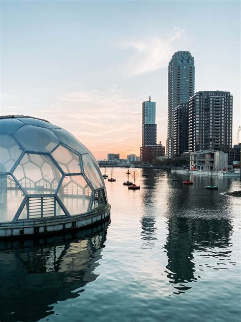 21 Fun Things To Do In Rotterdam In 2021 A World To Travel