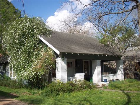 House In Bloom The Wild Rose Growing Up The Side Of My Hou Flickr