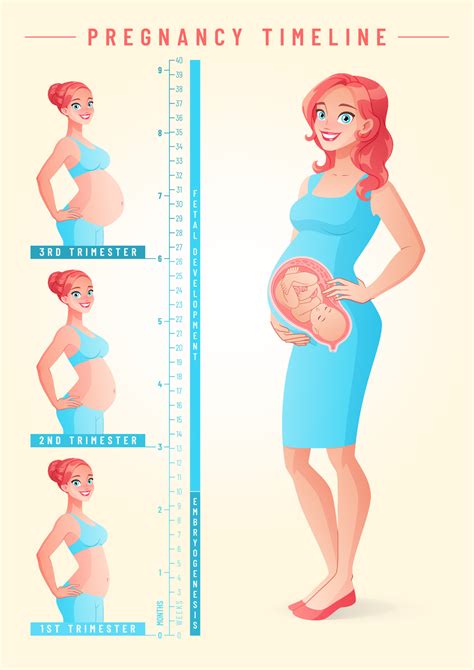 Mujer embarazada con bebé dentro de la ilustración de vector de línea