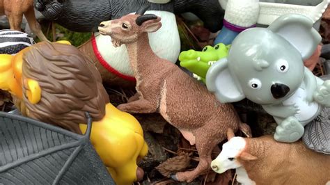 Learn To Count To 25 With Zoo Animal Toys Youtube