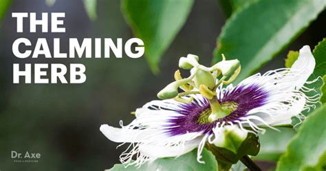 Passion Flower For Hot Flashes Depression And Better Sleep