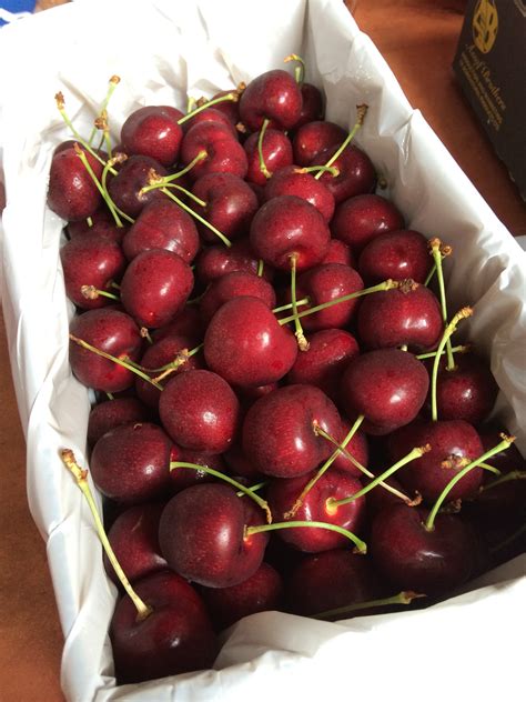 Staccato Red Cherry Large 2kg Premium Box — Momobud