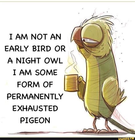 I Am Not An Early Bird Or A Night Owl Y I Am Some Form Of Permanently