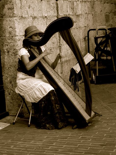 Harp Playing In Italy Music Love Music Photography Music Lovers