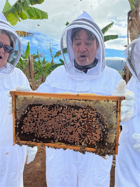 Bee Farm Tour And Honey Tasting In North Shore Oahu Hi Honey Farm