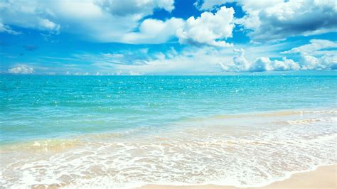 Free Download Summer Beach Wallpaper High Definition High