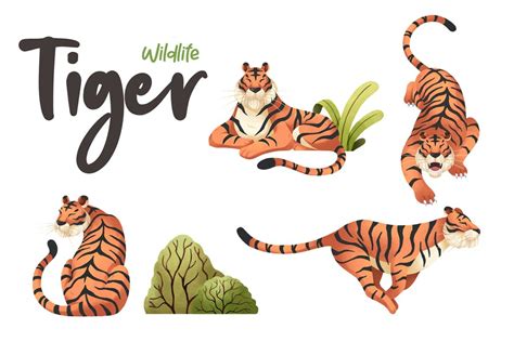 Animal Wildlife Tiger By Maxicons On Envato Elements