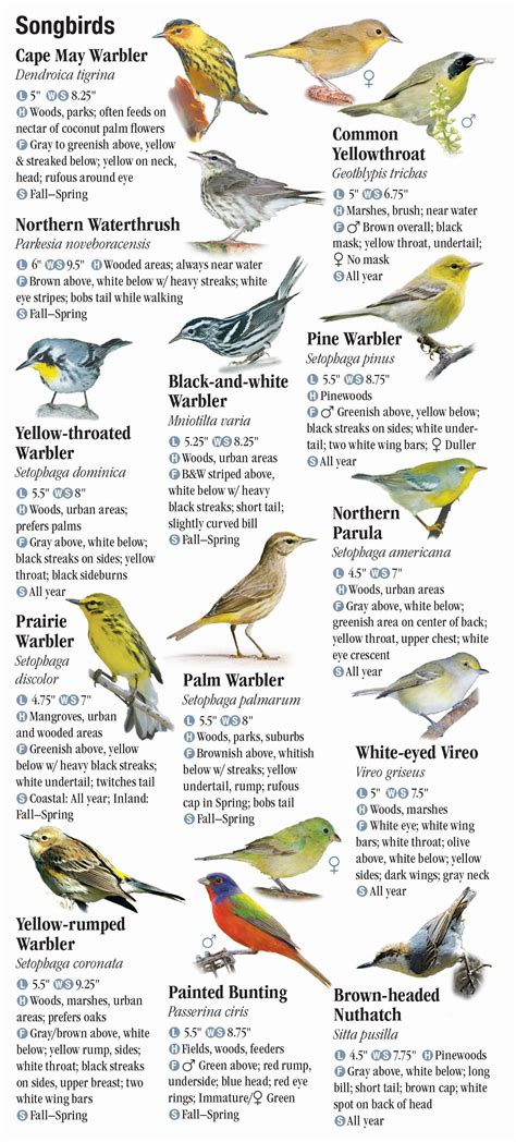 Birds Of Central Florida Quick Reference Publishing