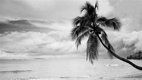 Black And White Beach Wallpapers Top Free Black And White Beach