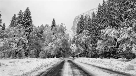 Download 1920x1080 Path Snow Winter Forest Trees Road Mountain