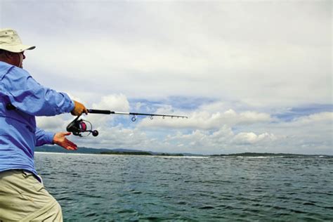 Daiwa Saltiga Reels Review The Fishing Website