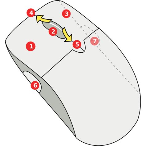 Diagram Of Wireless Mouse Vector Image Free Svg