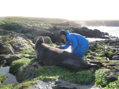 This South African Spent A Year Studying Marine Life On A Subantarctic