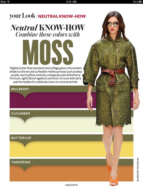 Moss Complementary Colors Instyle Color Crash Course Colour