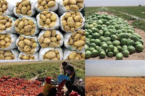 Irans Export Of Agri Products At 16 Growth In 4 Months Mehr News