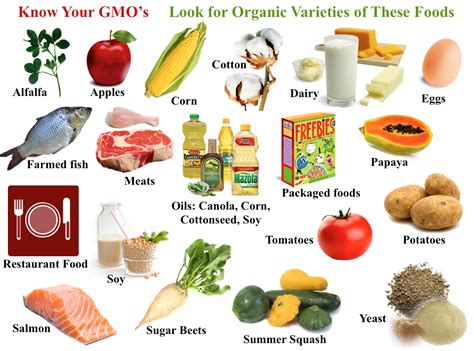 (naturalnews) the idea that dna from genetically modified organisms (gmos) is broken this is an astounding discovery that proves false claims made by monsanto and others that gmos are no the presence of transgenic genes in the small intestine was also found to affect the composition of. Warning! GMO-Free Foods Contain Glyphosate - Jane's Healthy Kitchen