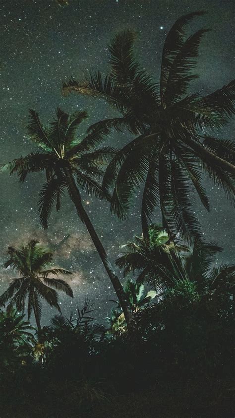 Palms Trees Starry Sky Hd Phone Wallpaper Pxfuel
