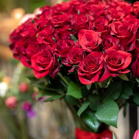 9 Most Romantic Flowers And Their Meanings In The Playroom