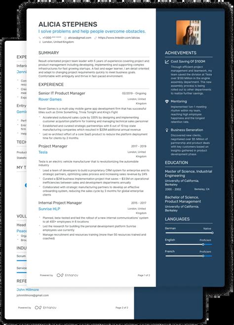 250 Professional Cv Examples For Any Job In 2024