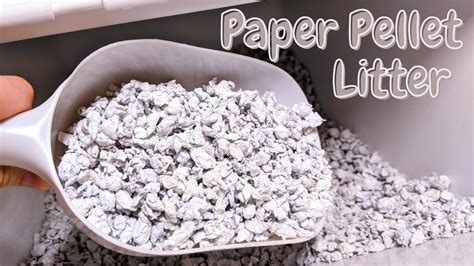 How To Scoop Paper Litter New