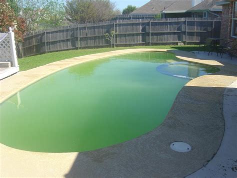 How Do I Protect My Pool From Algae Shoreline Pools