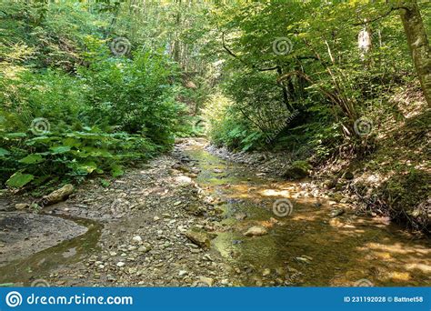 Mountain Rivers Sources Of Ecologically Clean Resources Of Water