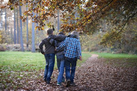 Boys Walking Through Forest Stock Image F0079160 Science Photo