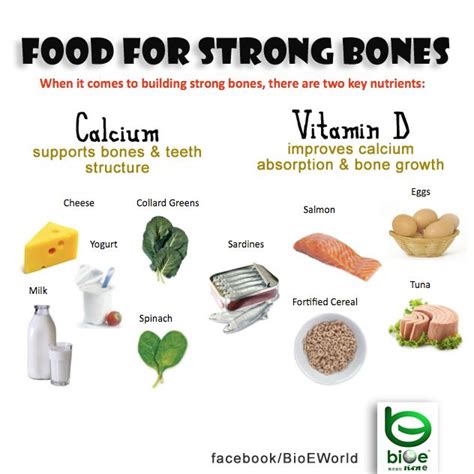 Top 15 Super Foods To Build Strong Bones And Teeth Food For Strong