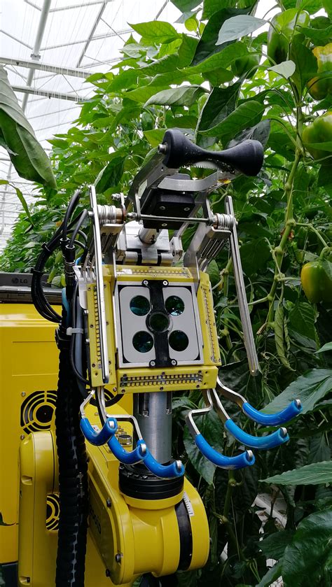 Sweeper Demonstrated Its Harvesting Robot For The First Time Wur