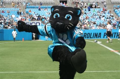 Panther Mascot Carolina Panthers Team Mascots Panthers
