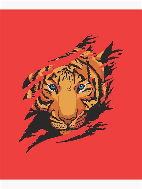 Tiger Wild Animal Ripped Poster For Sale By Mgn74 Redbubble