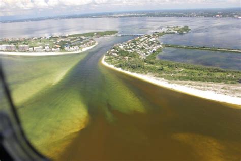 Nccos Supports Expansion Of Red Tide Respiratory Forecast In Florida