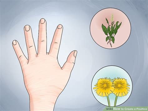 4 Ways To Create A Poultice Wikihow