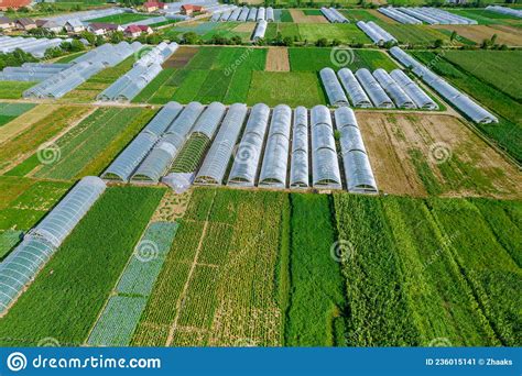 Many Large Greenhouses And Fields In The Village Growing Vegetables In