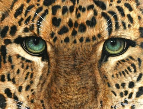 Paintings by contemporary artist marcia baldwin. Jacquie Vaux Artwork: Eyes of Leopard | Original Painting ...
