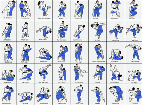 Judo Techniques Poster 11188 Judo Posters And Art Prints Barewalls