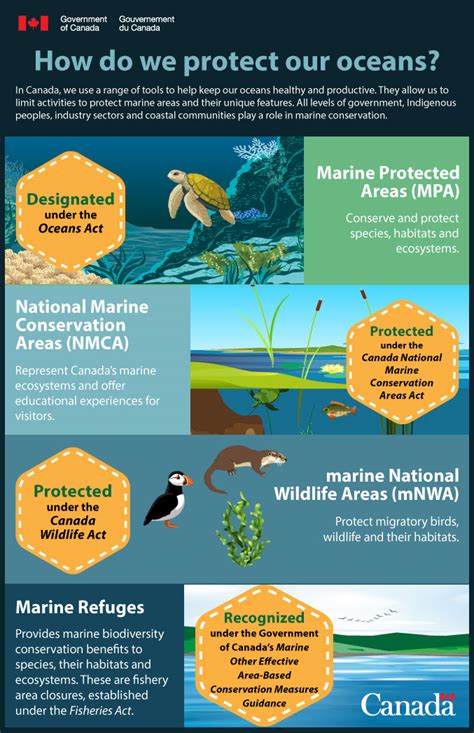 How Do We Protect Our Oceans
