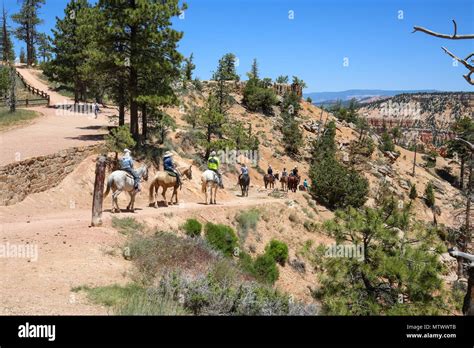 Horseback Riders In Bryce Canyon National Park Ut Stock Photo Alamy