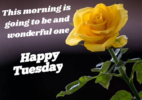 Happy Tuesday images, wishes, wallpaper, quotes, for whatsapp, Facebook,