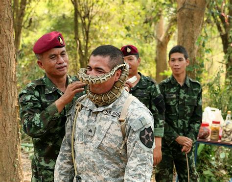Cobra Snake Blood Is On The Menu For Us Troops Training In The Thai