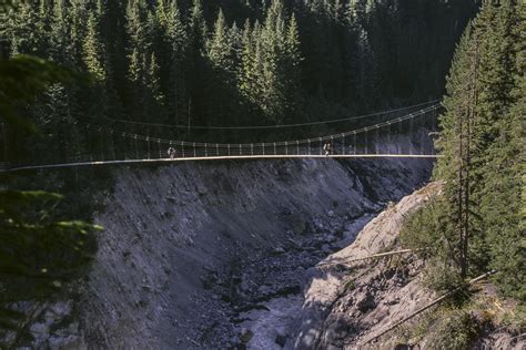 Tahoma Creek Bridge Mount Rainier National Park 1002964