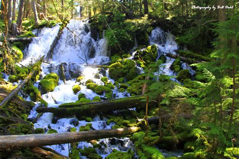 Clearwater Falls Umpqua National Forest Oregon Usa Bill Dahl Flickr