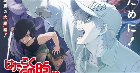 Cells At Work Theatrical Anime New Pv And Release Date Confirmed